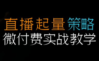半野老师·直播带货起量与微付费必学课视频号-nangewz