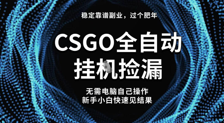 【稳定副业】全球最热门游戏CSGO全自动捡漏，最新玩法，新手小白日入5张+【揭秘】-nangewz