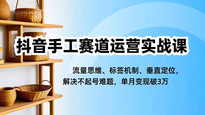抖音手工赛道运营实战课，流量思维、标签机制、垂直定位，解决不起号难题，单月变现破3万-nangewz