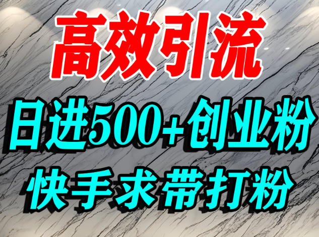 怎么打创业粉？快手求带视角精准引流创业粉，宝妈、学生群体日进500+精准流量-nangewz