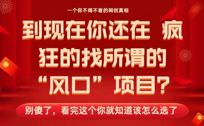 马上26年了，你还在找所谓的风口项目？别傻了，看完这个你全都懂了！【揭秘】-nangewz