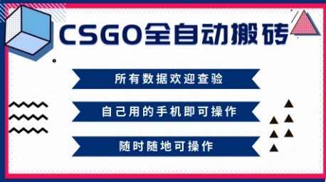 CSGO全自动搬砖，年底钱回家好项目，当天可拿到结果，新手小白轻松月入1W+【揭秘】-nangewz