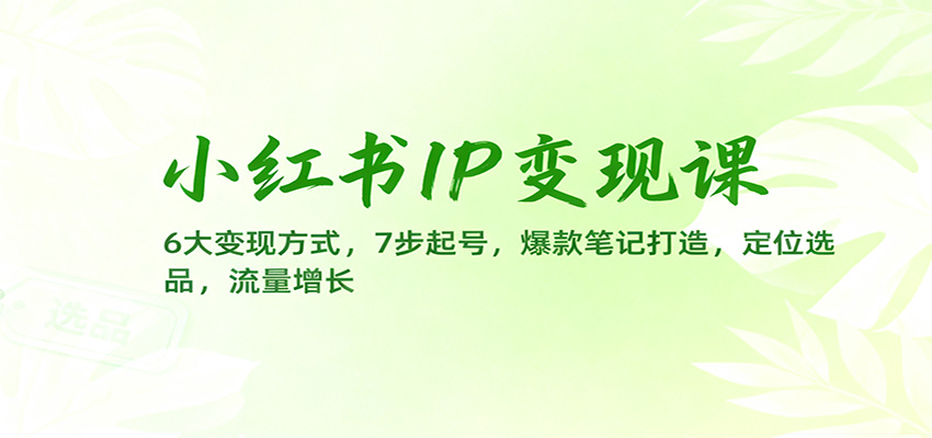 小红书IP变现课：6大变现方式，7步起号，爆款笔记打造，定位选品，流量增长-nangewz
