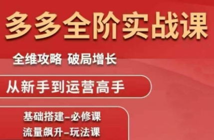 大炮·拼多多全阶实战课程(更新10月)-nangewz