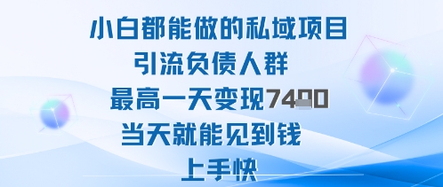 2025年小白都能做的私域项目引流负债人群最高一天变现1k+高变现难度低当天就能见到钱上手快-nangewz