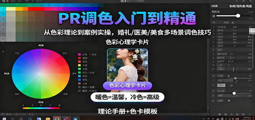 PR调色入门到精通：从色彩理论到案例实操，婚礼/医美/美食多场景调色技巧-nangewz