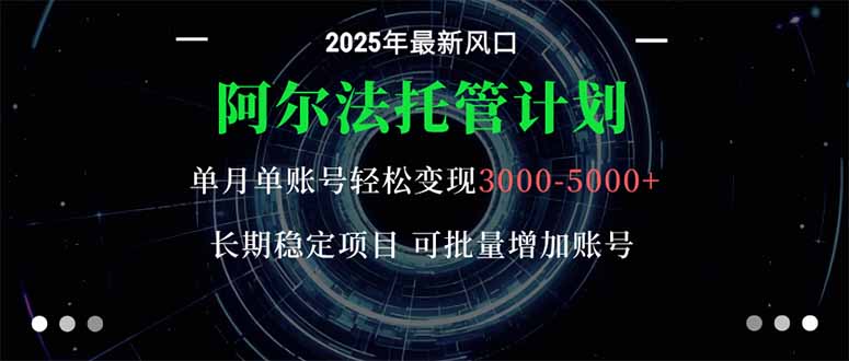 阿尔法托管计划 单账号月入3000-5000，长期稳定项目，新手小白轻松上手。-nangewz
