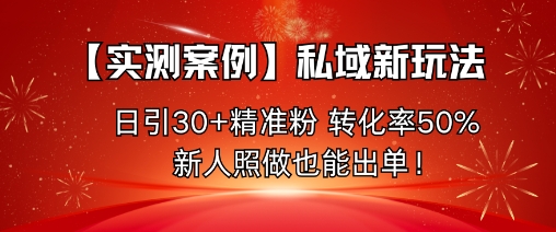 【实测案例】私域新玩法，日引30+精准粉，转化率50%，新人照做也能出单！-nangewz