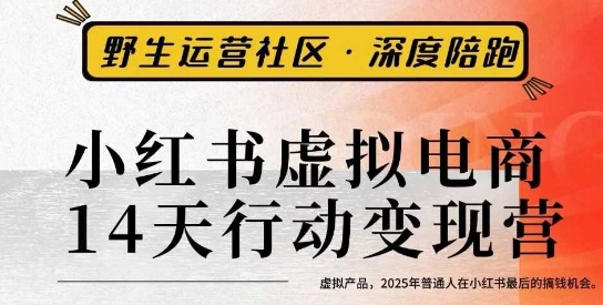 小红书虚拟电商14天变现训练营3.0，​虚拟产品，2025年普通人在小红书最后的搞钱机会-nangewz