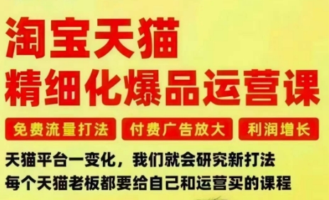 淘宝天猫精细化爆品运营课，免费流量打法-付费广告放大-利润增长-三大核心痛点，一次全部解决-nangewz