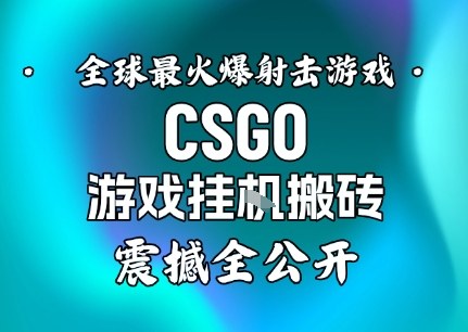 【年底大揭秘】基于全球最火爆的射击CSGO游戏挂G搬砖，日入5张+，震撼公开-nangewz