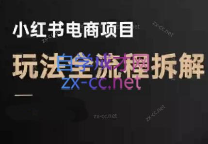 菲菲老师·小红书电商玩法(更新9月)-nangewz