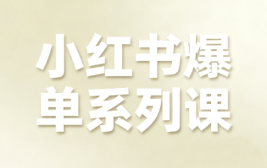 尼采老师·小红书爆单系列课-nangewz