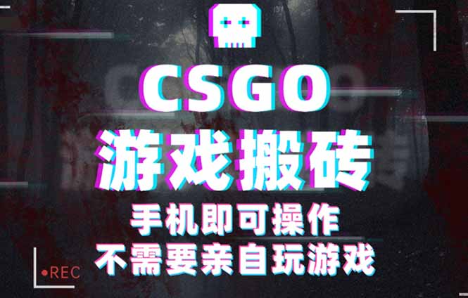 CSGO游戏挂机捡漏，单日扫货500+，年底小高峰上车可吃肉，手机即可操作...-nangewz