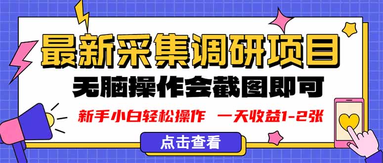 新版采集调研项目，截图上传即可，无脑操作，日收益1-2张-nangewz