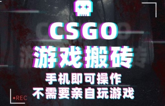 CSGO游戏挂G捡漏，单日扫货5张+，年底小高峰上车可吃肉，手机即可操作，兼职副业创业网创【揭秘】-nangewz