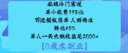 私域冷门赛道:单个收费198米引流模板简单人群精准转化45%单人一天大概收益是1k+-nangewz