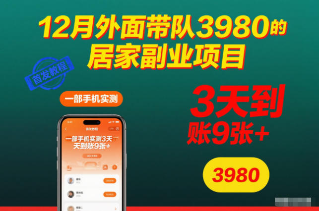 12月外面带队3980的居家副业项目，一部手机实测3天到账9张+，首发教程【揭秘】-nangewz