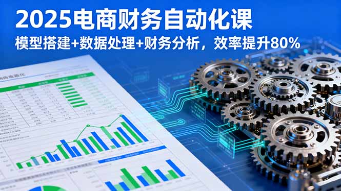 2025电商财务自动化课，模型搭建+数据处理+财务分析，效率提升80%-nangewz