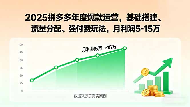 2025拼多多年度爆款运营，基础搭建、流量分配、强付费玩法，月利润5-15万-nangewz