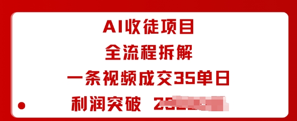AI收徒项目全流程拆解一条视频成交35单日利润突破1k+-nangewz