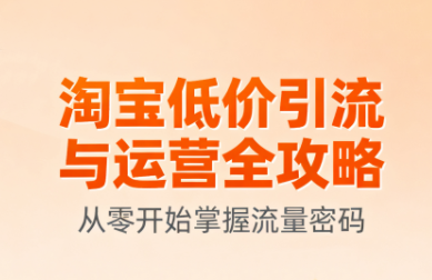 淘宝低价引流与运营全攻略(更新9月)-nangewz