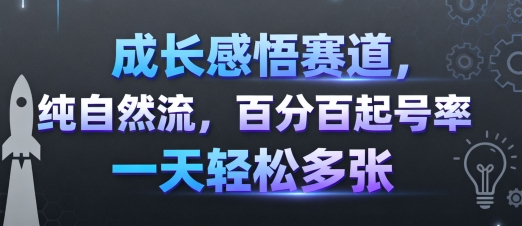 成长感悟赛道，纯自然流，百分百起号率 一天轻松多张-nangewz