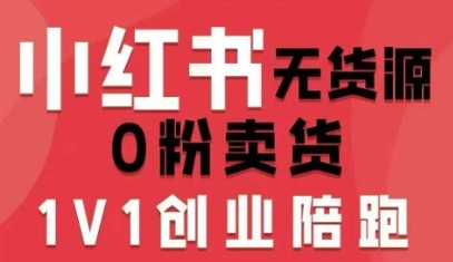 小红书无货源0粉电商课，开店准备、选品策略、笔记撰写、视频剪辑、数据分析、账号打造、资料文档-nangewz