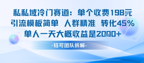私域冷门赛道单个收费198米引流模板简单人群精准 45%的转化率单人一天大概收益多张-nangewz