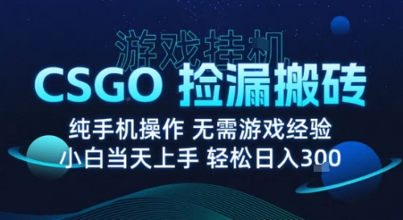 8月最新游戏搬砖，CSGO纯挂G，不需要玩游戏，实现真挂G，月入1W+【揭秘】-nangewz
