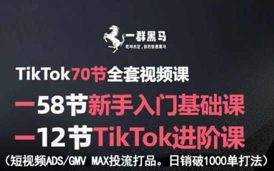 TikTok全套视频课，新手入门+进阶课，短视频ADS-GMV MAX投流打品，日销破1000单打法-nangewz