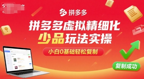 拼多多虚拟精细化少品玩法实操，小白0基础轻松复制-nangewz