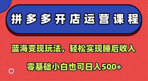 拼多多开店运营课程：蓝海变现玩法，轻松实现睡后收入，零基础小白也可日入5张-nangewz