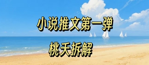 小说推文项目操作全流程第一弹，0粉就能做，门槛低非常适合新手-nangewz