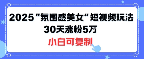 不露脸也能火！2025“氛围感美女”短视频玩法，30天涨粉5W小白可复制-nangewz
