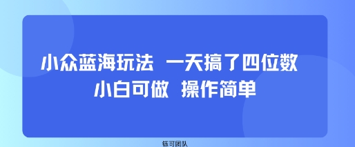 小众蓝海玩法 一天搞了四位数 小白可做 操作简单-nangewz