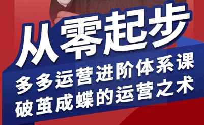 拼多多运营进阶系统课，从零起步，多多运营进阶体系课，破茧成蝶的运营之术-nangewz