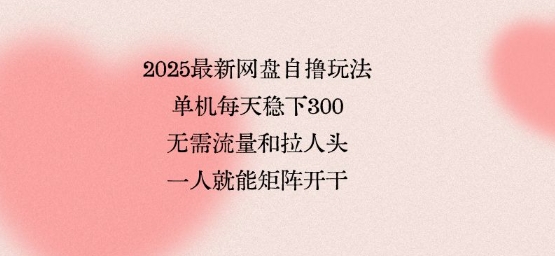 2025最新网盘自撸玩法，单机每天稳下3张，无需流量和拉人头，一个人就可轻松矩阵，全网独一份【揭秘】-nangewz
