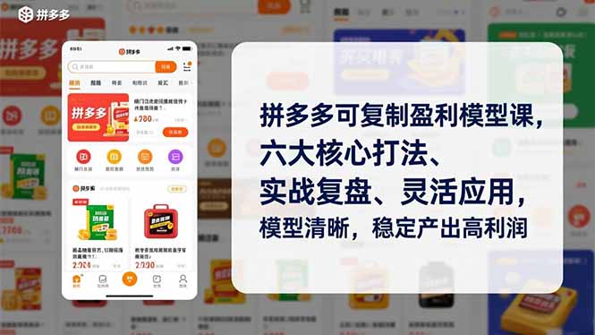拼多多可复制盈利模型课，六大核心打法、实战复盘、灵活应用，模型清晰，稳定产出高利润-nangewz
